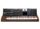 Moog Minimoog Voyager XL