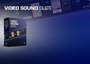 Waves Video Sound Suite